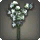 White Sweet Peas - Miscellany - Items