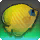 Yellow Iris - Fish - Items