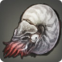 Ammonite - Fish - Items