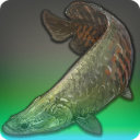 Aphotic Pirarucu - Fish - Items