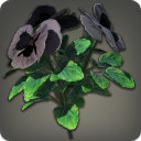 Black Violas - Miscellany - Items