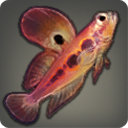 Blood Skipper - Fish - Items