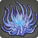 Blue Medusa - Fish - Items