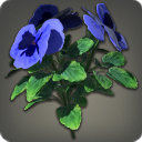 Blue Violas - Miscellany - Items