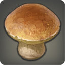 Brown Mushroom - Ingredients - Items
