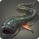 Bullwhip - Fish - Items