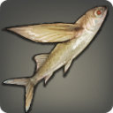 Cloud Rider - Fish - Items