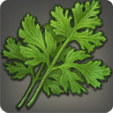 Coriander - Reagents - Items