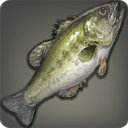 Dravanian Bass - Fish - Items