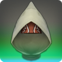 Filibuster's Hood of Healing - Head - Items