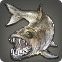Gigant Grouper - Fish - Items
