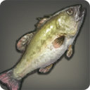 Goblin Bass - Fish - Items