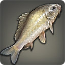 Grass Carp - Fish - Items