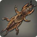 Hedgemole Cricket - Fish - Items