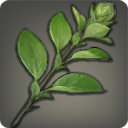 Highland Oregano - Ingredients - Items