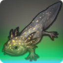 Hundred-eyed Axolotl - New Items in Patch 3.4 - Items