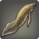 Lungfish - Fish - Items