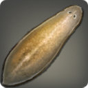 Mitre Slug - Fish - Items