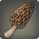 Morel - Ingredients - Items