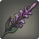 Noble Sage - Ingredients - Items