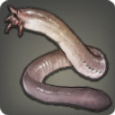 Oil Eel - Fish - Items