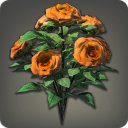 Orange Oldroses - Miscellany - Items