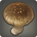 Porcini - Ingredients - Items