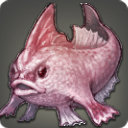 Proto-hropken - Fish - Items