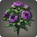 Purple Oldroses - Miscellany - Items