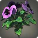 Purple Violas - New Items in Patch 3.4 - Items