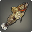 Scholar Sculpin - Fish - Items
