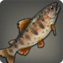 Seema Patrician - Fish - Items