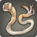 Shipworm - Fish - Items