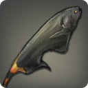 Sorcerer Fish - Fish - Items