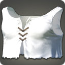 Southern Seas Vest - Body Armor Level 1-50 - Items