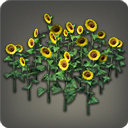 Sunflower Plot - Furnishings - Items