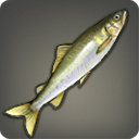 Sweetfish - Fish - Items