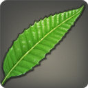 Swordleaf - Reagents - Items