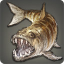 Tigerfish - Fish - Items
