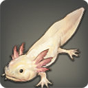 Tiny Axolotl - Fish - Items