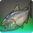 Twin-tongued Carp - Fish - Items