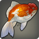 Vanuhead - Fish - Items