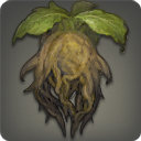 Voidrake - Reagents - Items