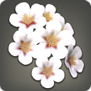 White Cherry Blossom Corsage - New Items in Patch 3.5 - Items