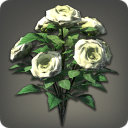 White Oldroses - Miscellany - Items