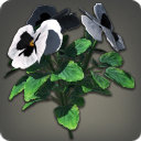 White Violas - Miscellany - Items