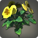 Yellow Violas - New Items in Patch 3.4 - Items