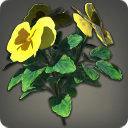 Yellow Violas - Miscellany - Items