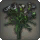 Black Carnations - New Items in Patch 5.4 - Items