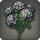 Black Hydrangeas - Miscellany - Items